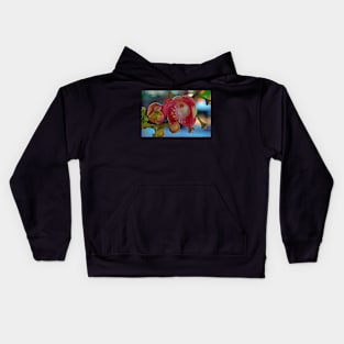 Cannonball Tree Flower Kids Hoodie